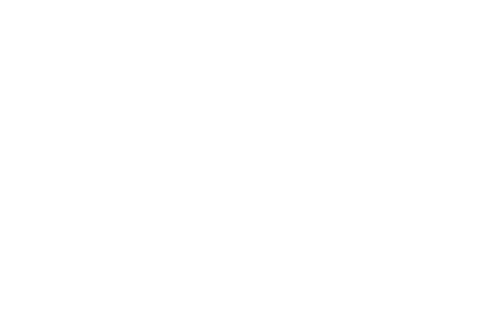 TDM Studio, zur Startseite